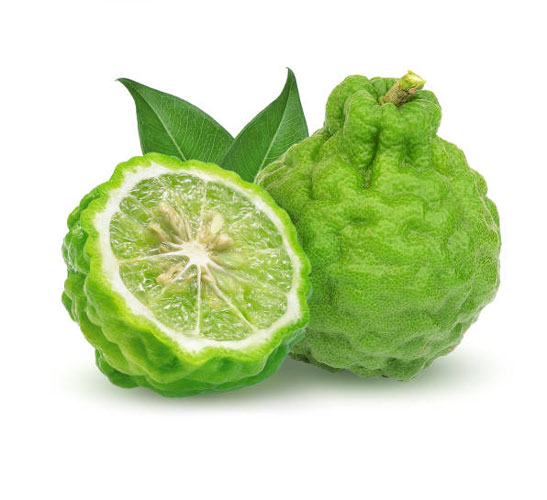 نهال برگاموت (ترنج)